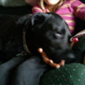 Meet your Posher, Indy